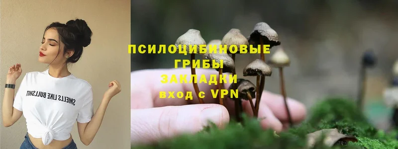 Псилоцибиновые грибы MAGIC MUSHROOMS  купить наркотики цена  маркетплейс Telegram  Переславль-Залесский 