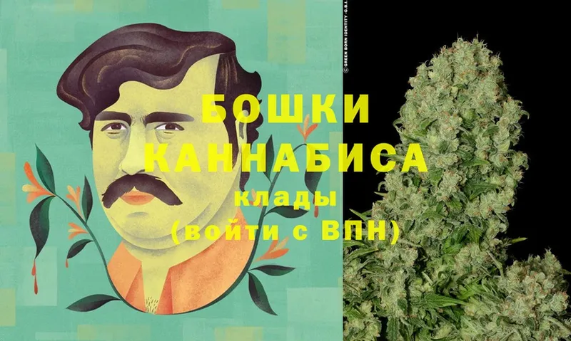 купить   Переславль-Залесский  Каннабис SATIVA & INDICA 